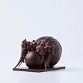 Joostarijs 300926 0083