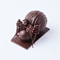 Joostarijs 300926 0075